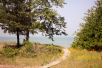 path to beach